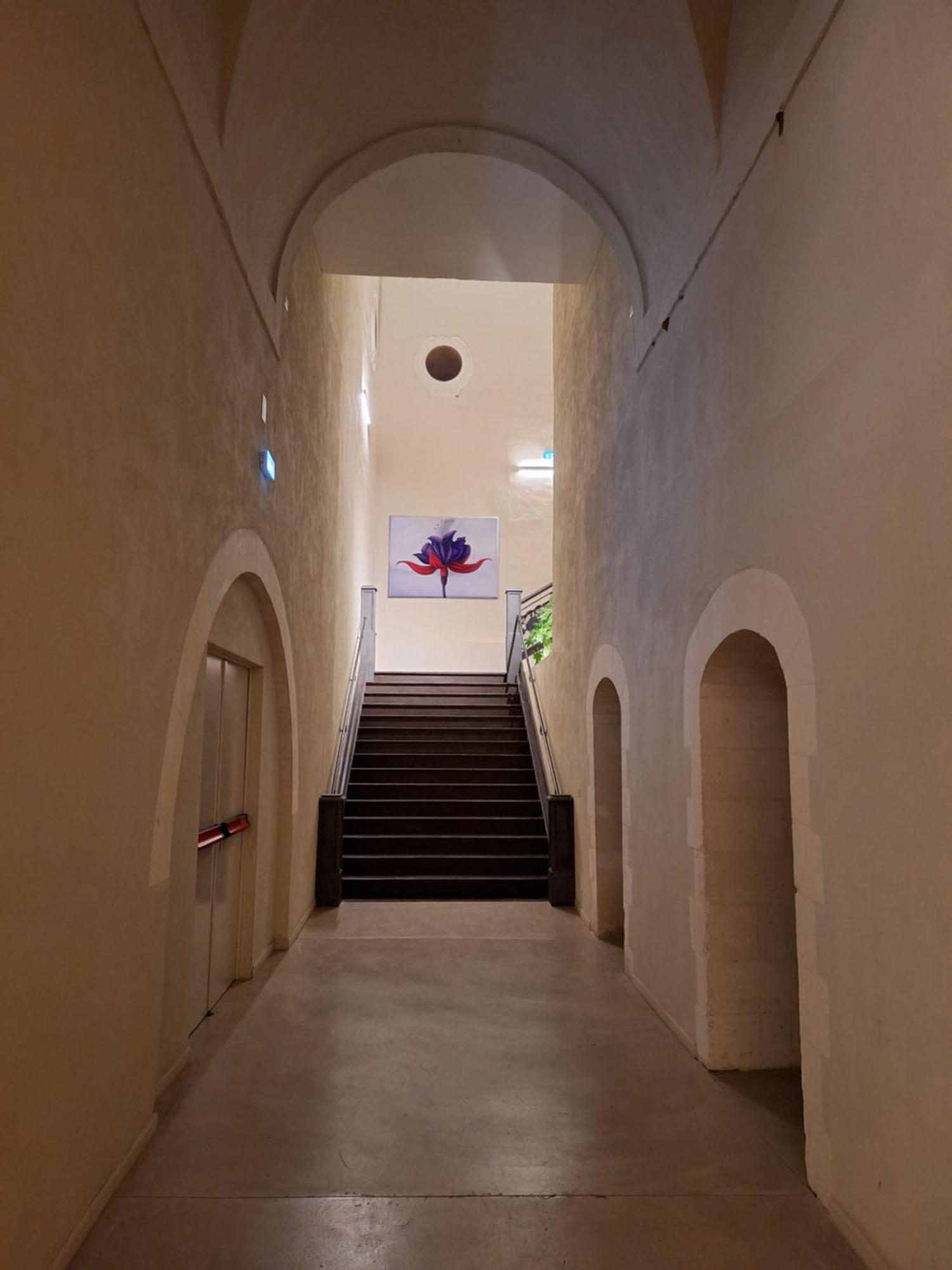 Chiostro Dei Domenicani - Dimora Storica 莱切 外观 照片